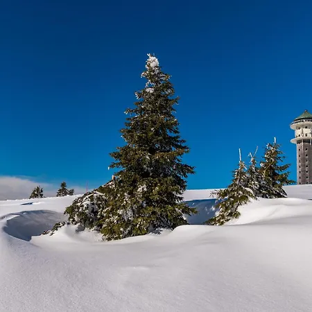 Apartament Spechtsboden C4- Hochwertige Mit 2 Schlafzimmer In Todtnauberg- In And Out, Feldberg *